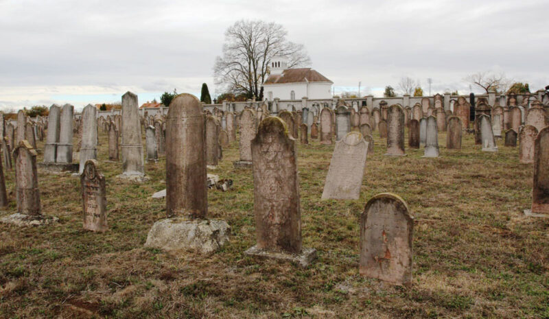 The ESJF has begun a new phase of Jewish cemetery surveys in Hungary — this time in Tolna сounty