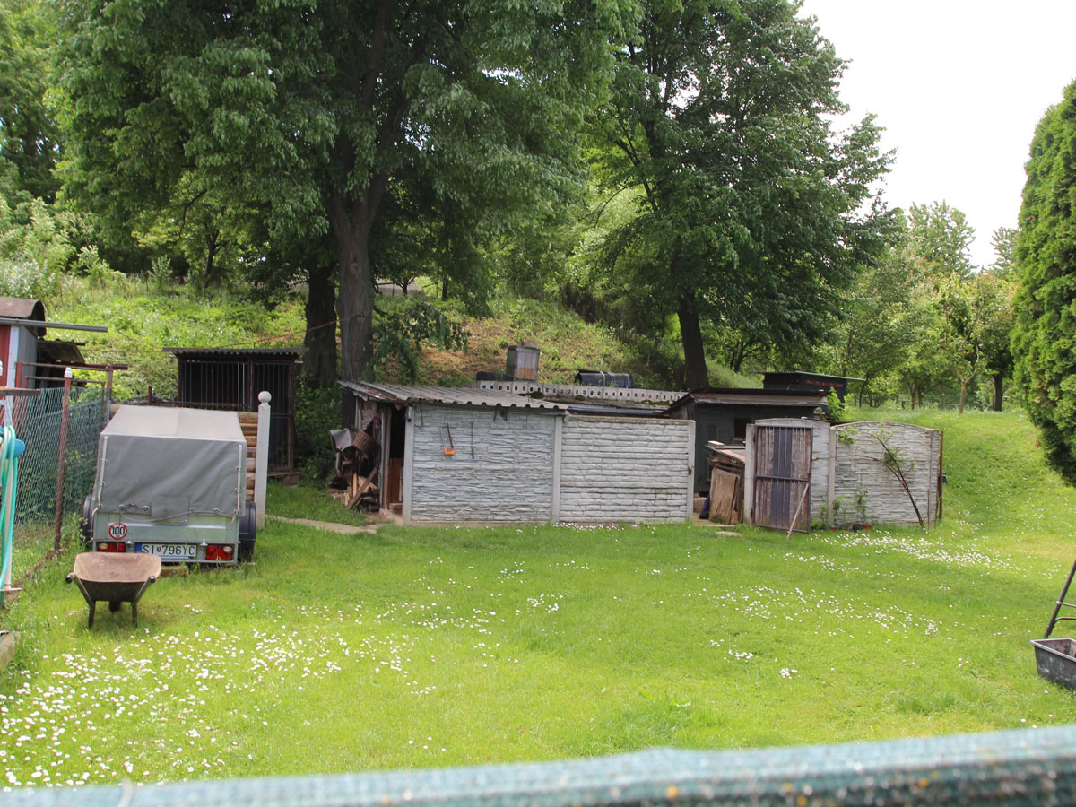 Petrova-Ves-Jewish-Cemetery-3