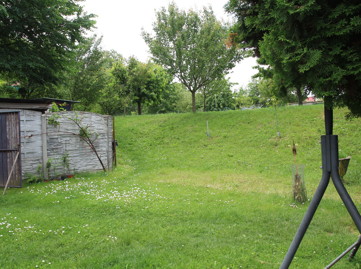 Petrova-Ves-Jewish-Cemetery-4