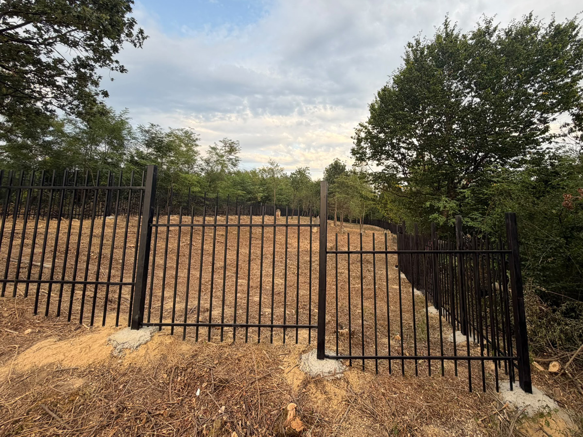 Poiana-Blenchi-Jewish-Cemetery-fenced-6