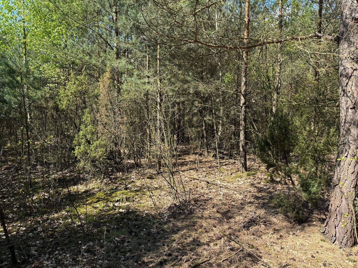 Raciaz-Jewish-Cemetery-3