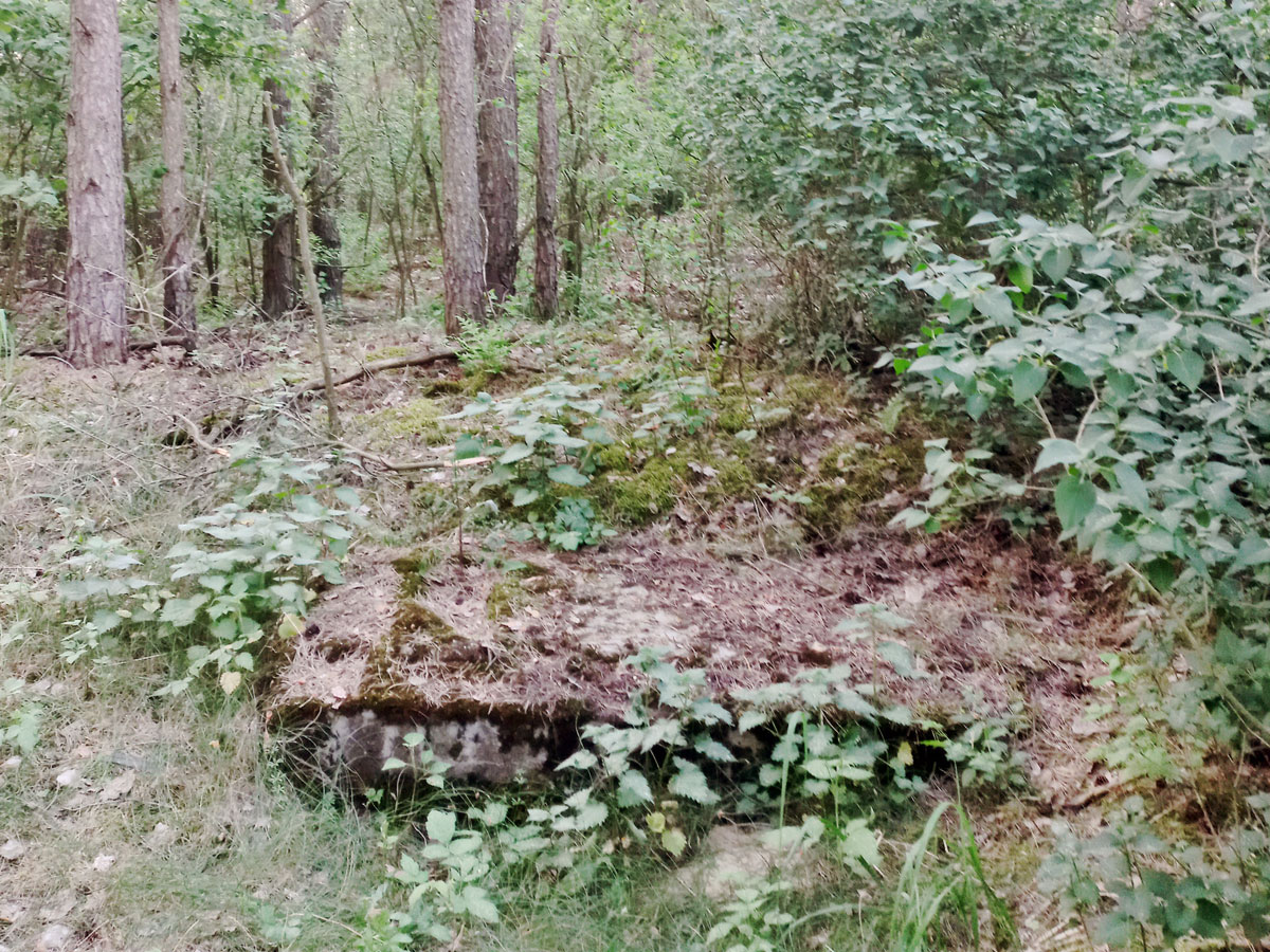 Raciaz-Jewish-Cemetery-5