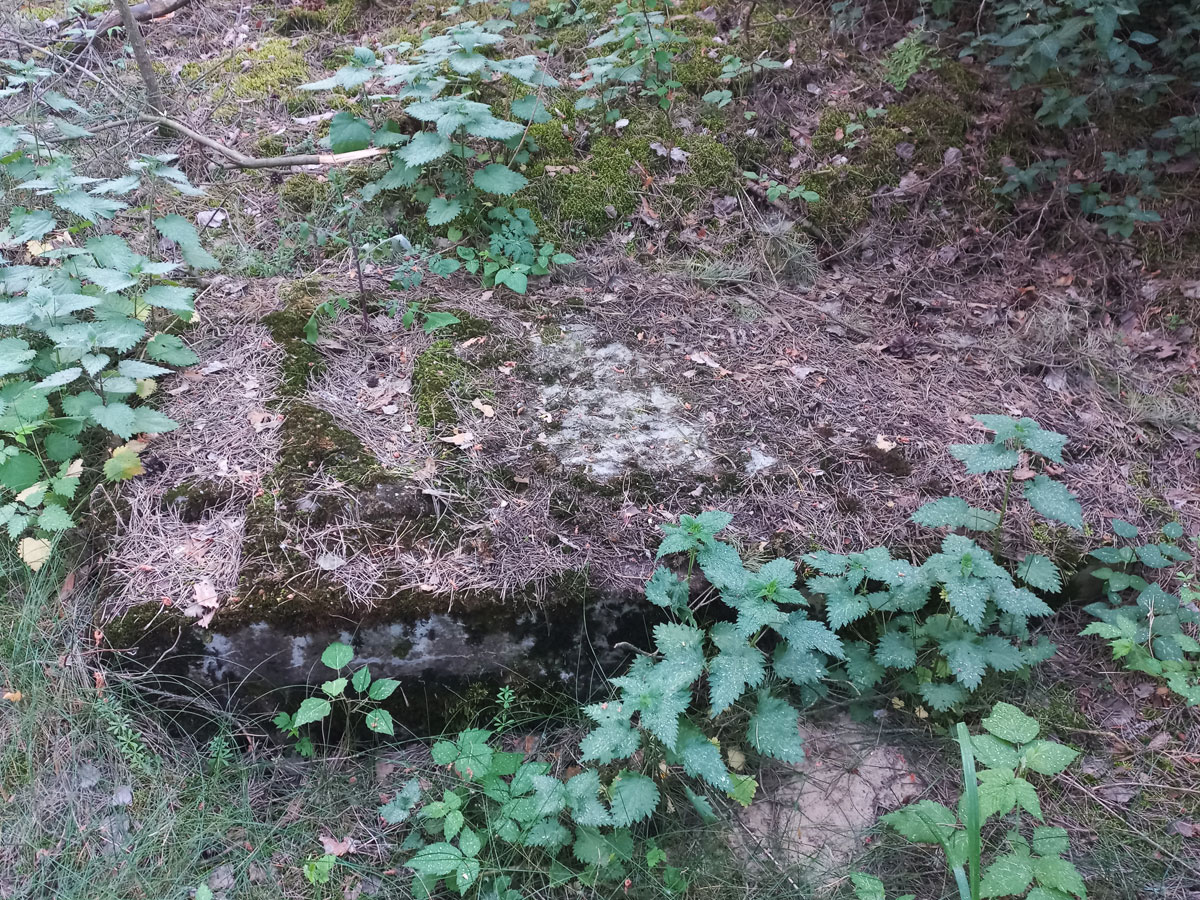 Raciaz-Jewish-Cemetery-6