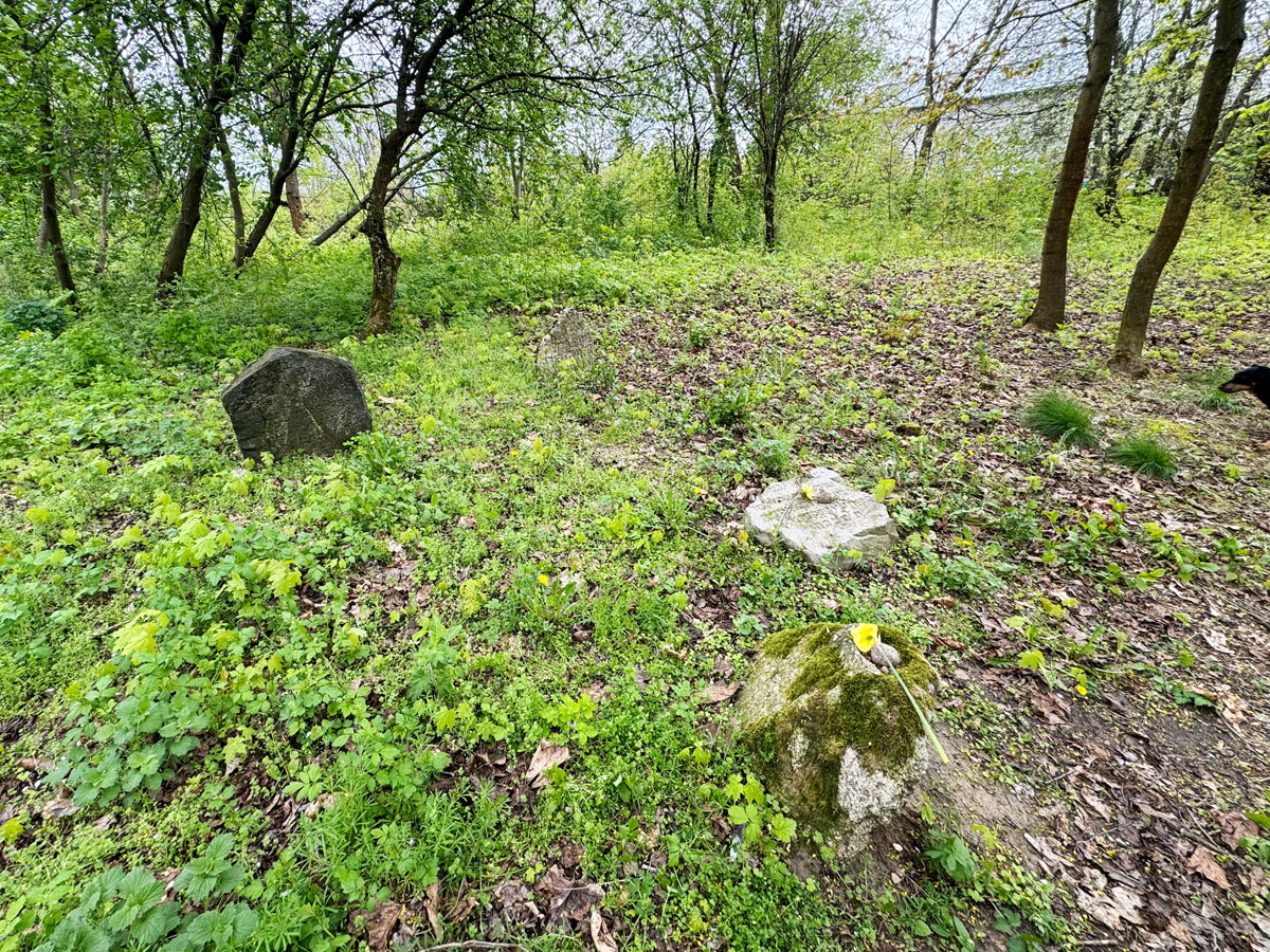 Sarnaki-Jewish-Cemetery-2