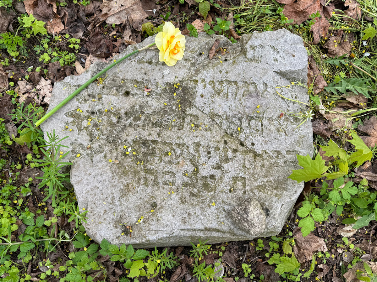 Sarnaki-Jewish-Cemetery-3