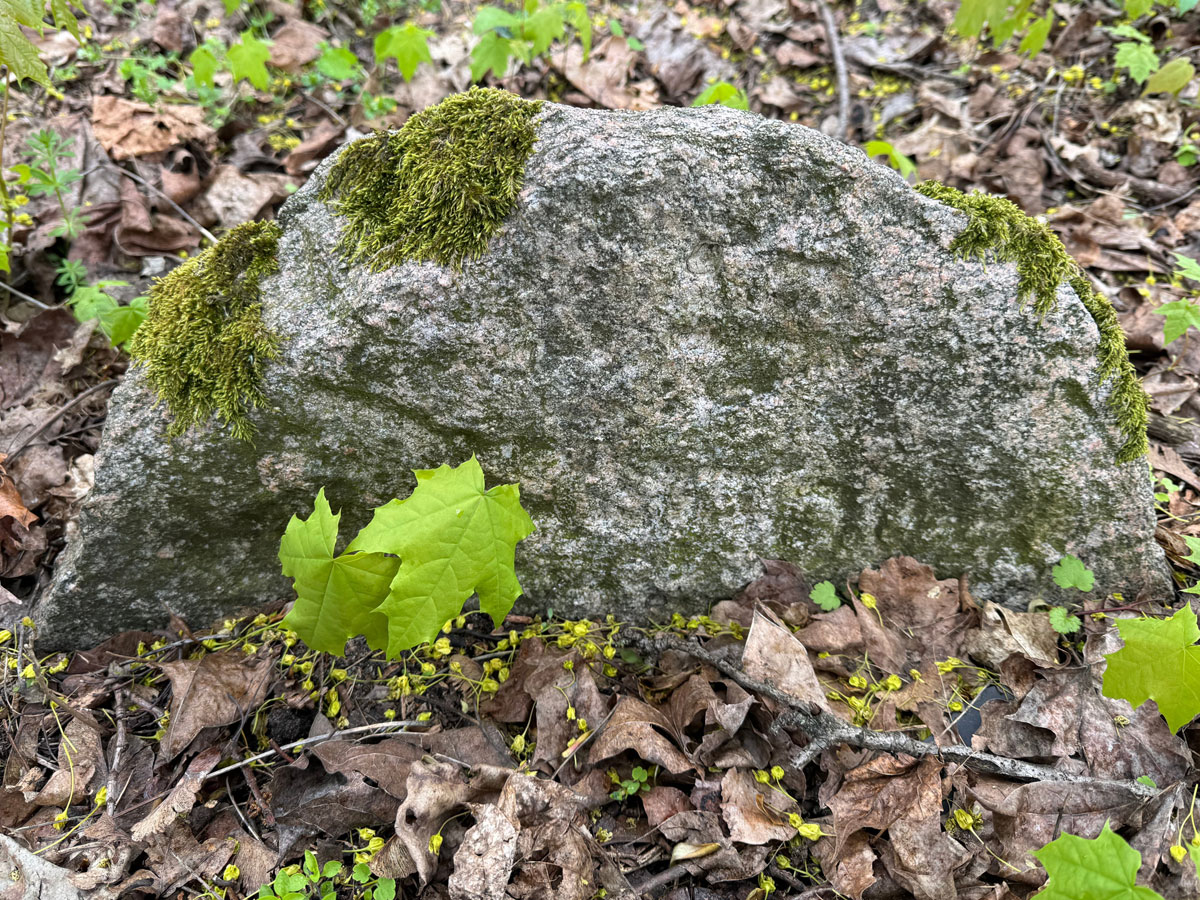 Sarnaki-Jewish-Cemetery-6