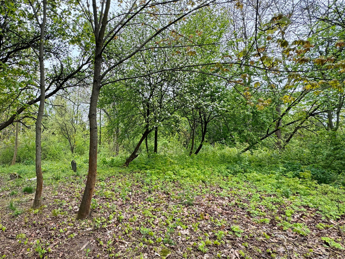 Sarnaki-Jewish-Cemetery-8