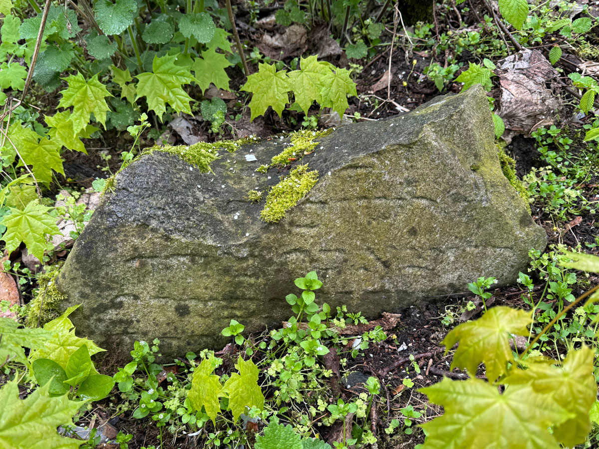Sarnaki-Jewish-Cemetery-9