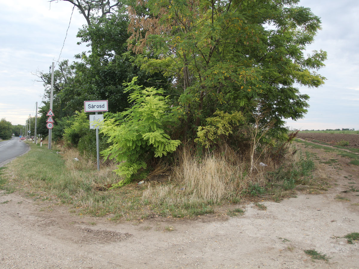 Sarosd-Jewish-Cemetery-1