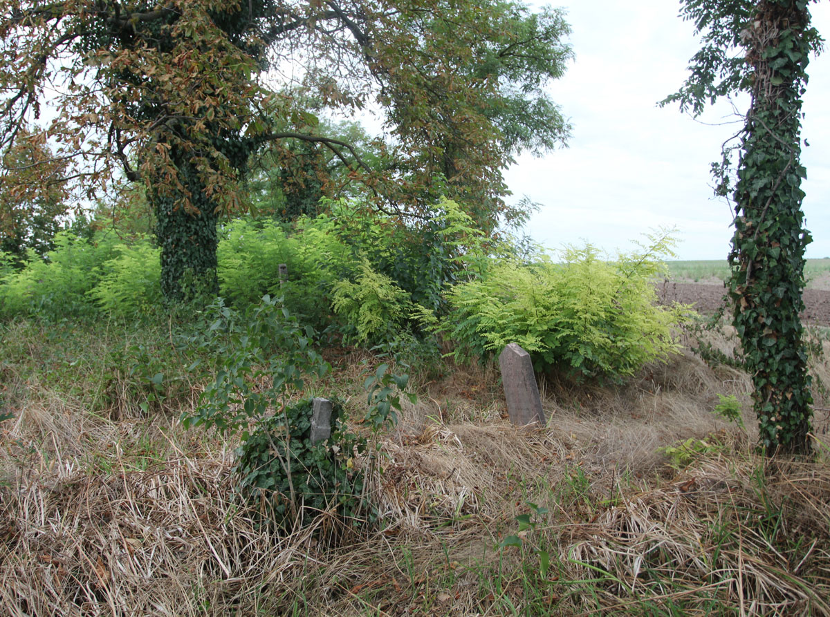 Sarosd-Jewish-Cemetery-2
