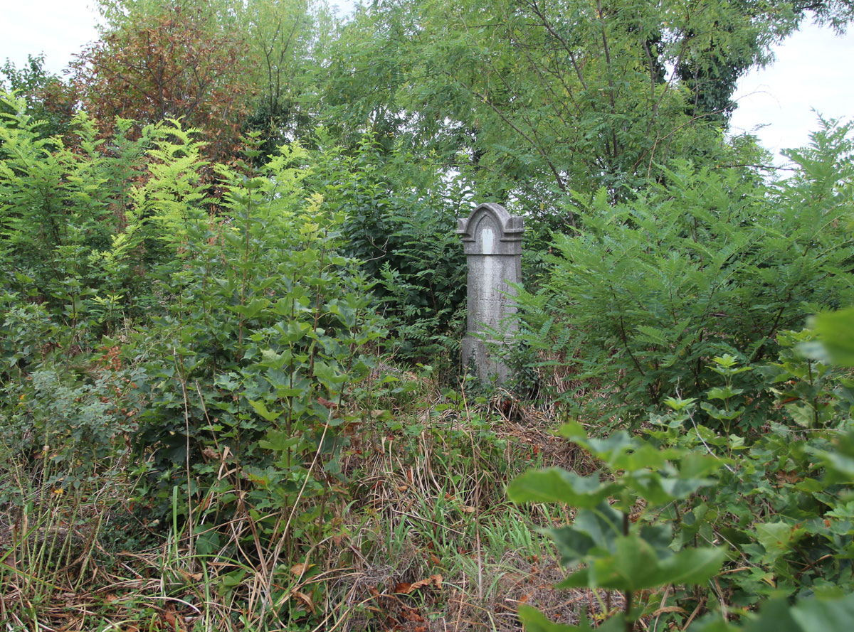 Sarosd-Jewish-Cemetery-3