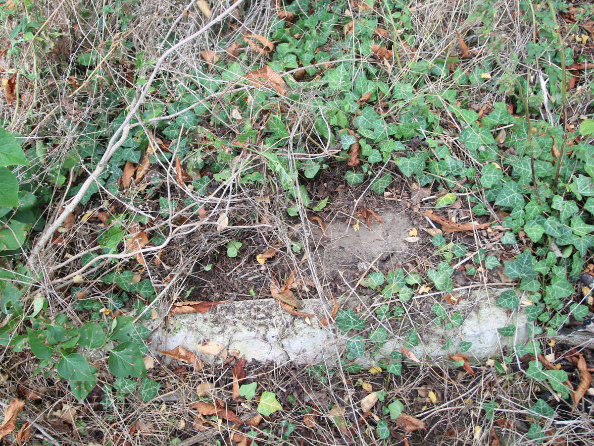 Sarosd-Jewish-Cemetery-5