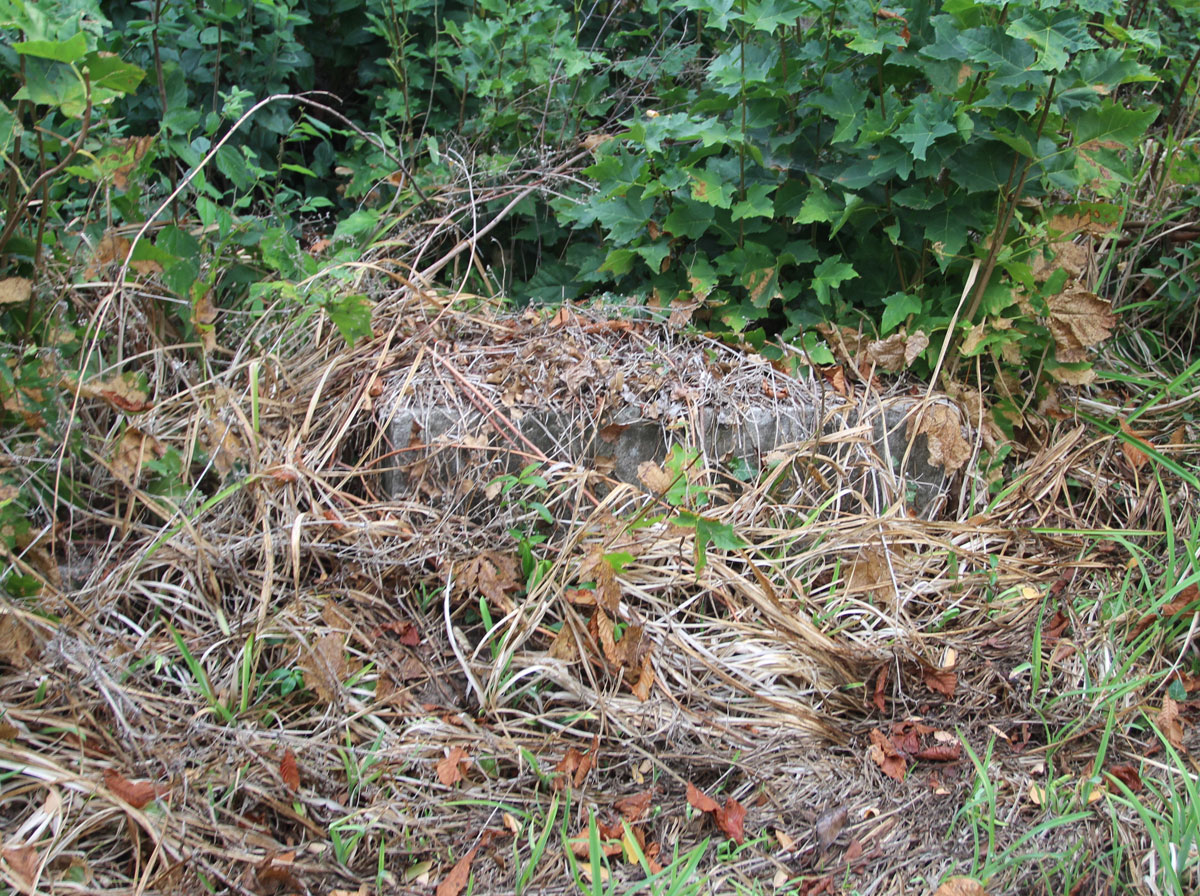 Sarosd-Jewish-Cemetery-6