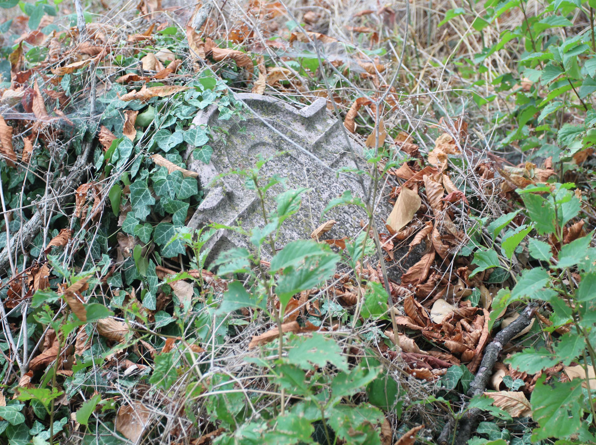 Sarosd-Jewish-Cemetery-7