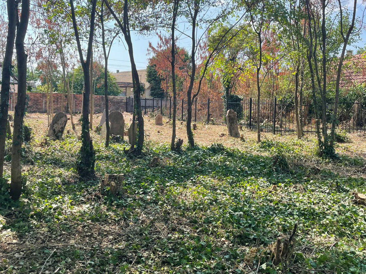 The fencing project at the Selenča Jewish cemetery in Serbia is complete