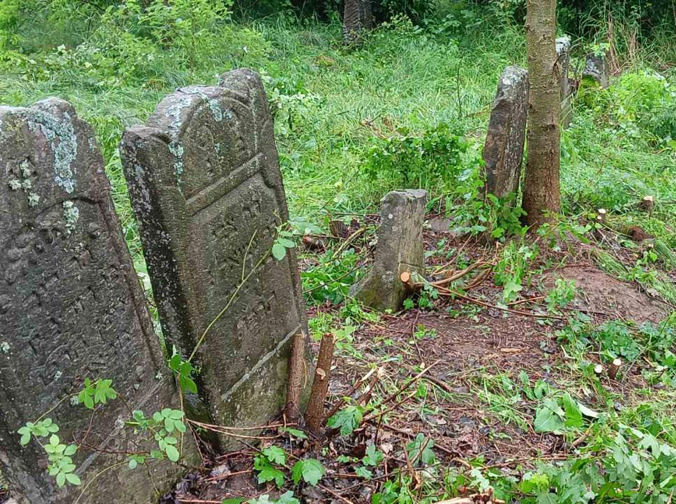 Stanislavchyk-Jewish-Cemetery-fenced-esjf-4