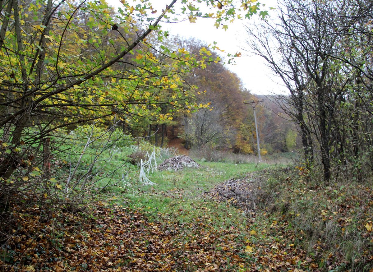 Stara-Lehota-Jewish-Cemetery-1
