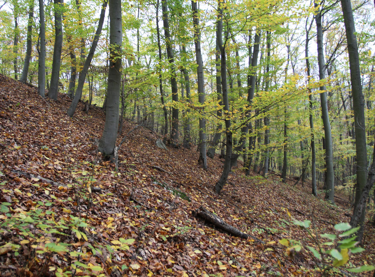 Stara-Lehota-Jewish-Cemetery-2