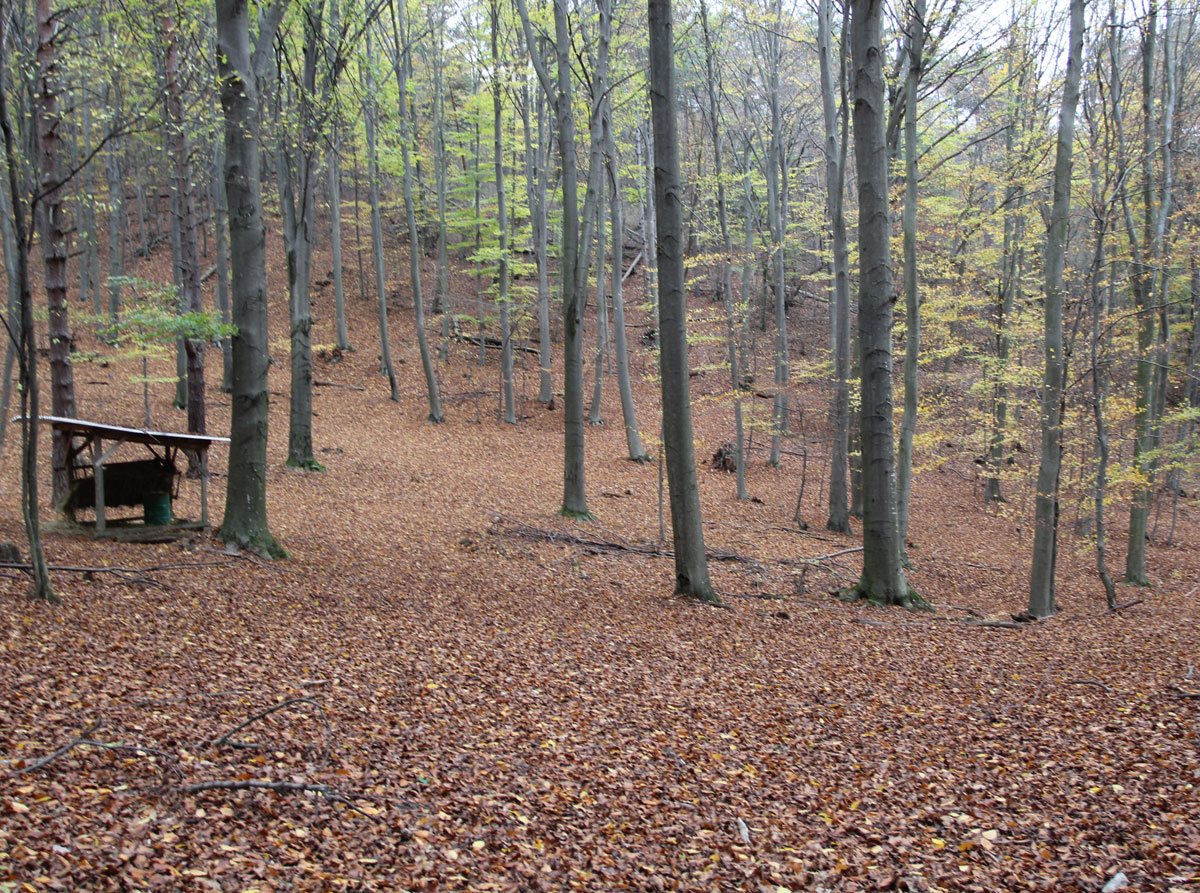 Stara-Lehota-Jewish-Cemetery-4