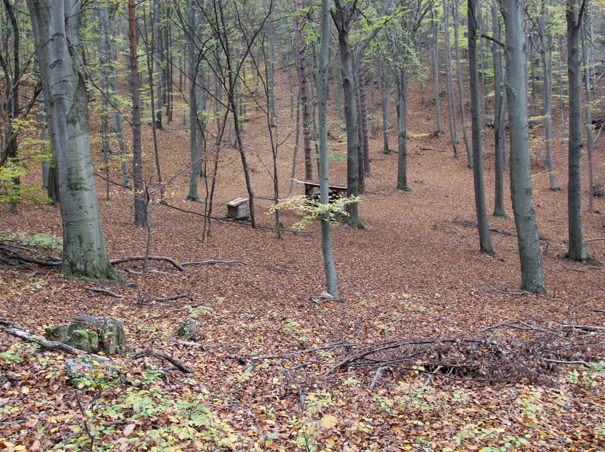 Stara-Lehota-Jewish-Cemetery-5