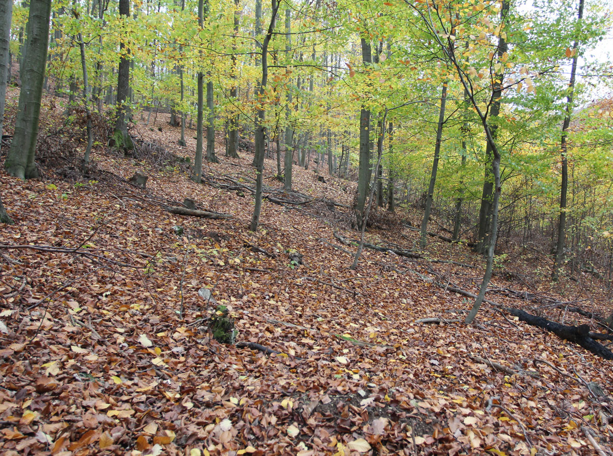 Stara-Lehota-Jewish-Cemetery-6