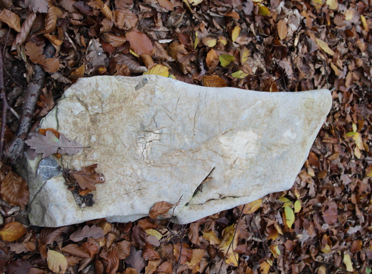Stara-Lehota-Jewish-Cemetery-7