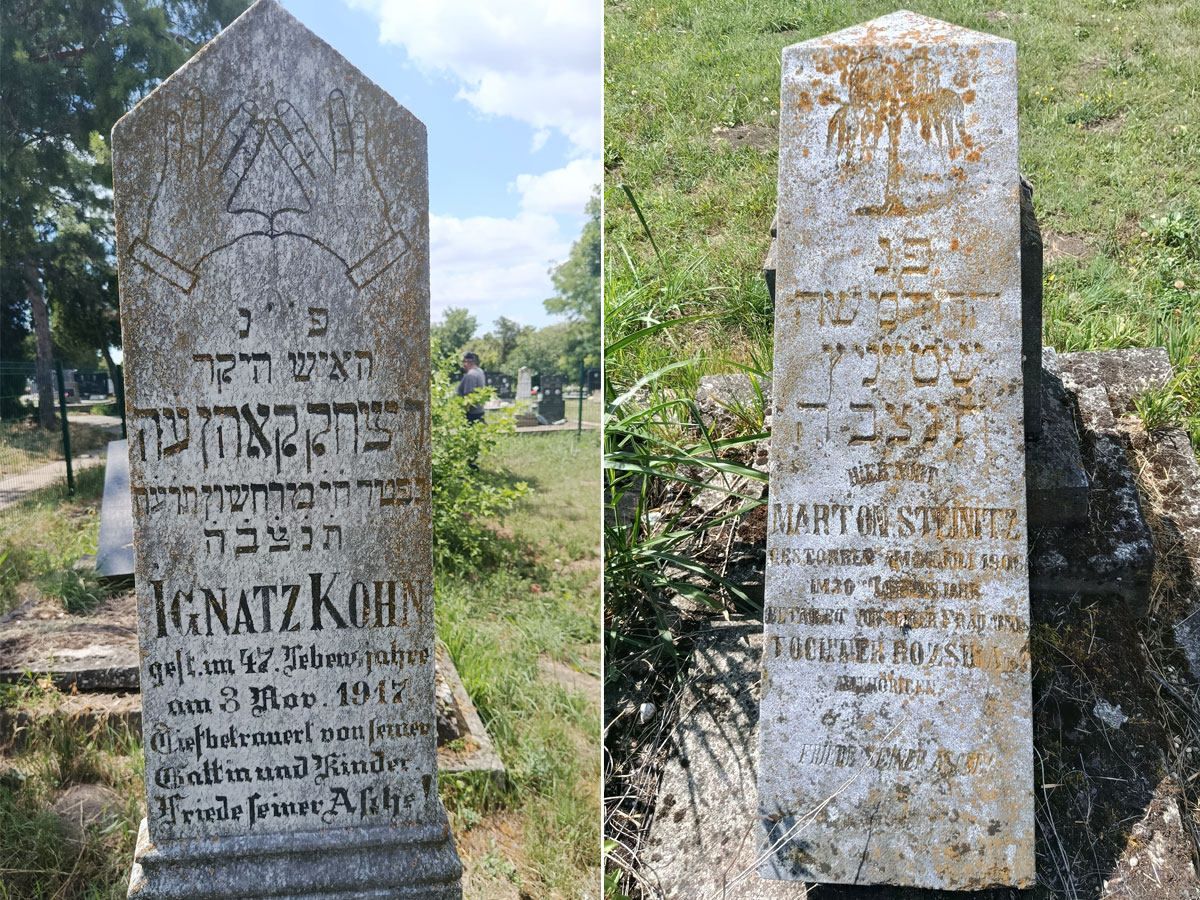 Stara-Pazova-Jewish-Cemetery-fenced-esjf-444