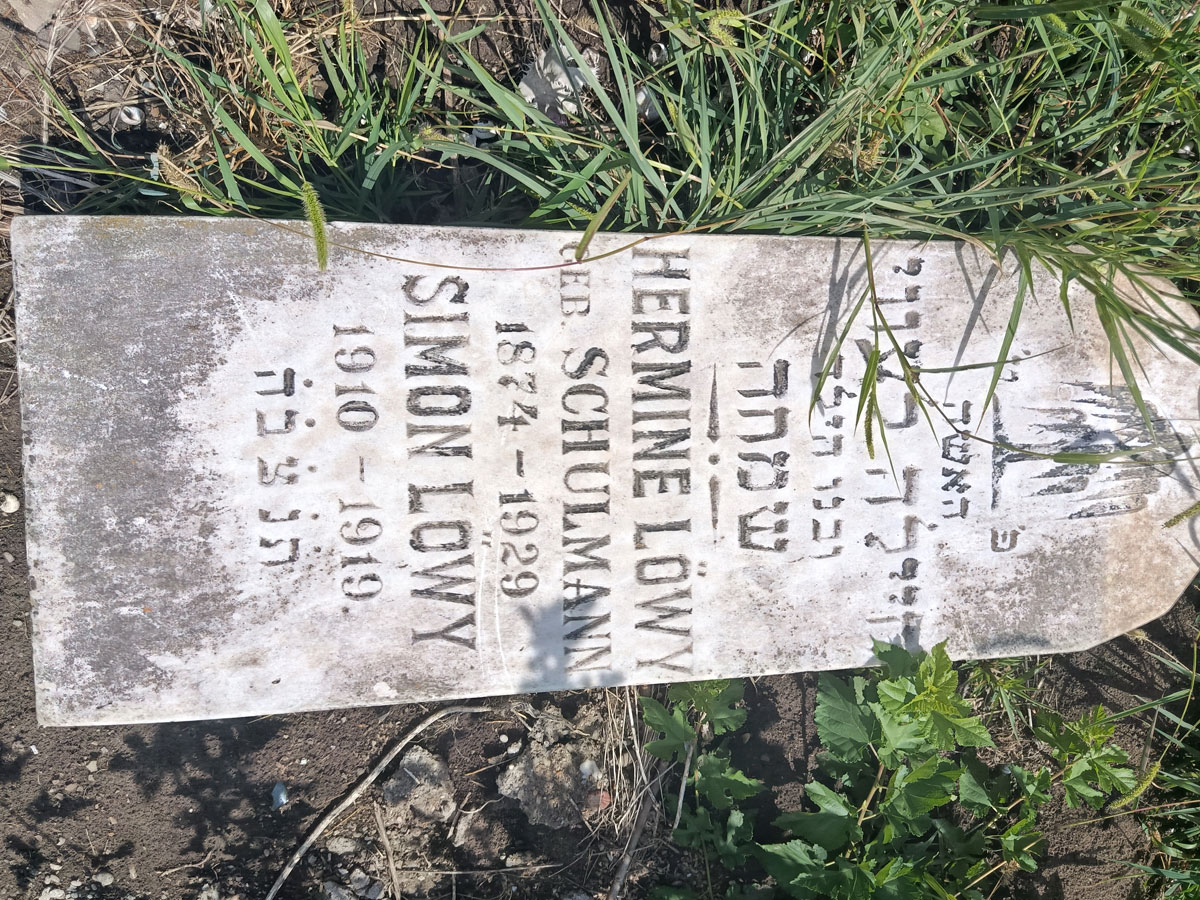Stara-Pazova-Jewish-Cemetery-fenced-esjf-555