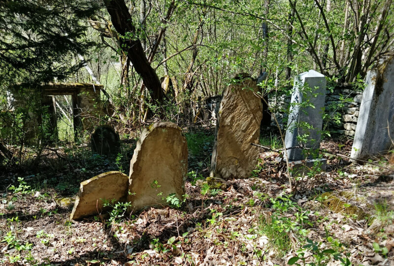 The ESJF team surveying 40 more Jewish cemeteries across Slovakia