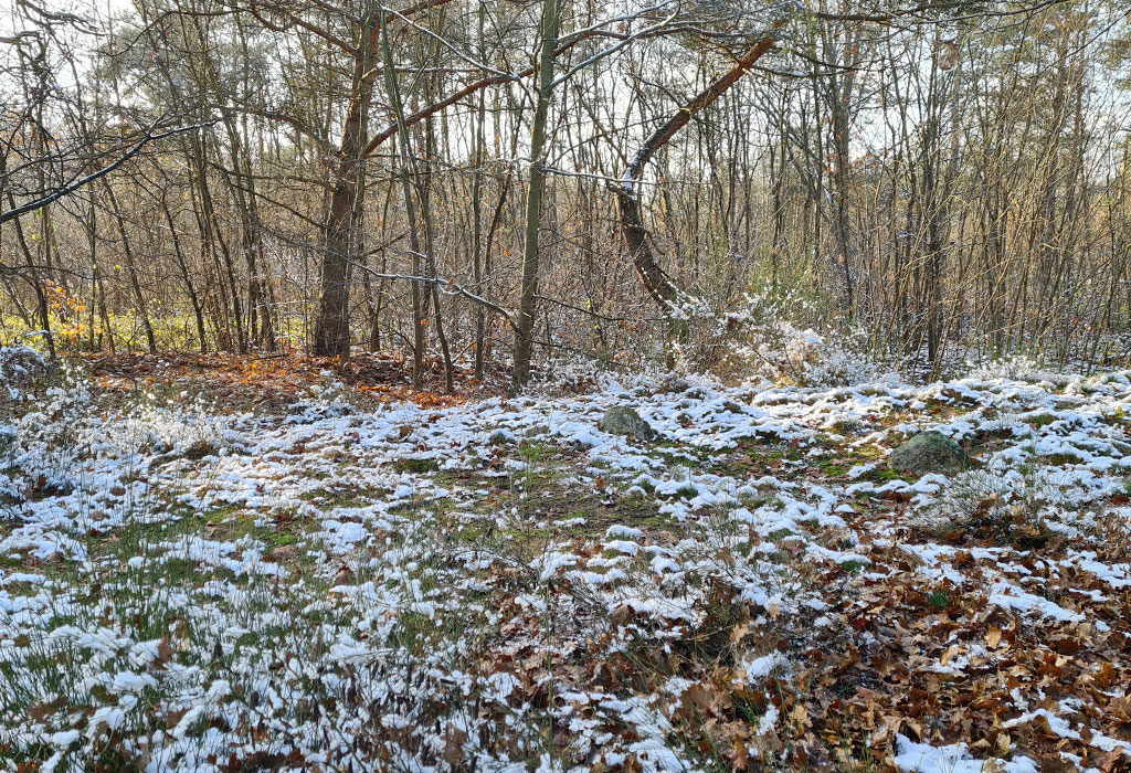 Swierze New Jewish Cemetery