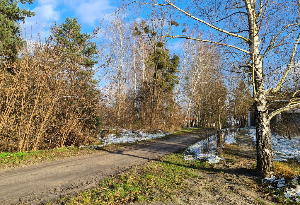 Swierze New Jewish Cemetery