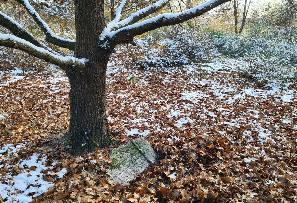 Swierze New Jewish Cemetery