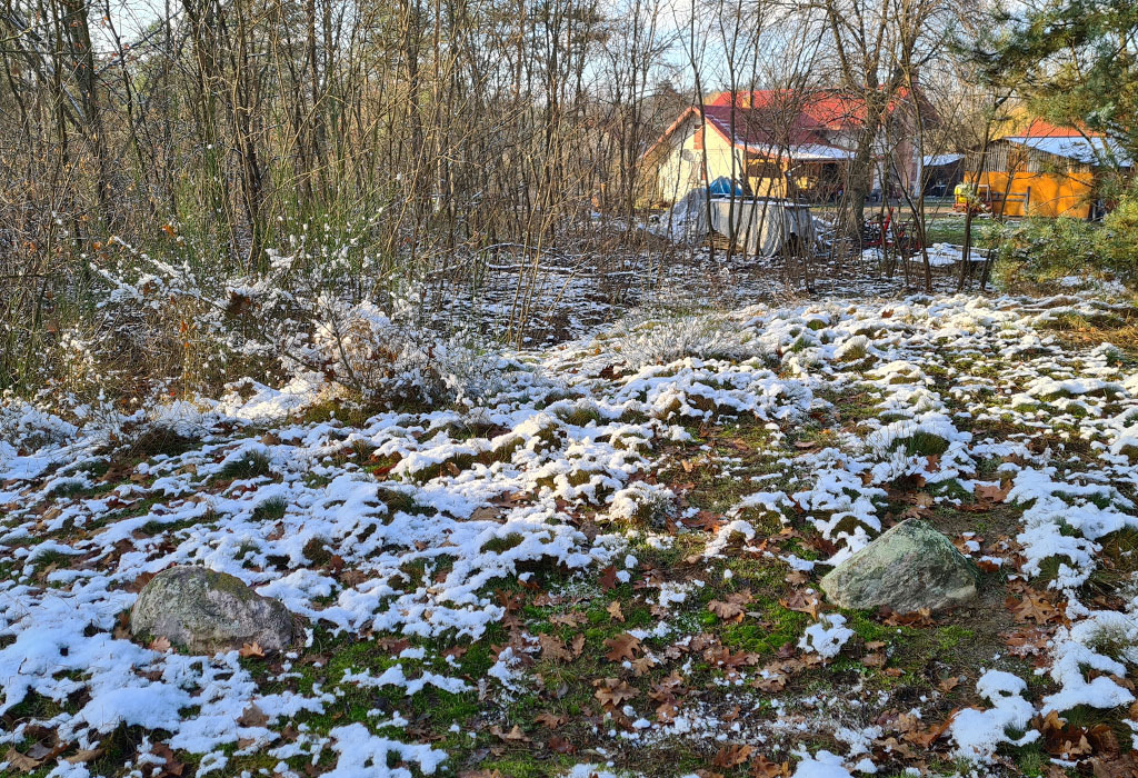 Swierze New Jewish Cemetery