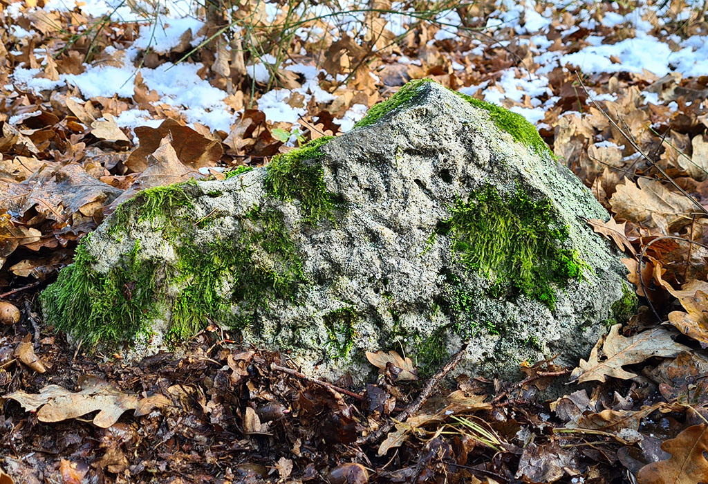 Swierze New Jewish Cemetery