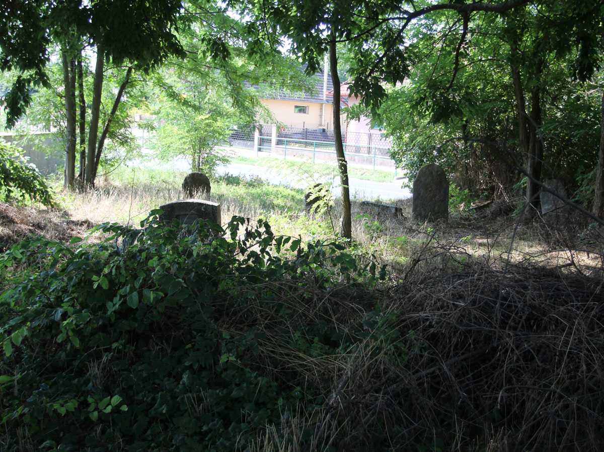 Szabadbattyan-Jewish-Cemetery-3