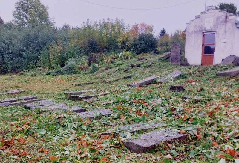 The ESJF has completed regular maintenance at the Nadvirna Jewish cemetery in Ukraine