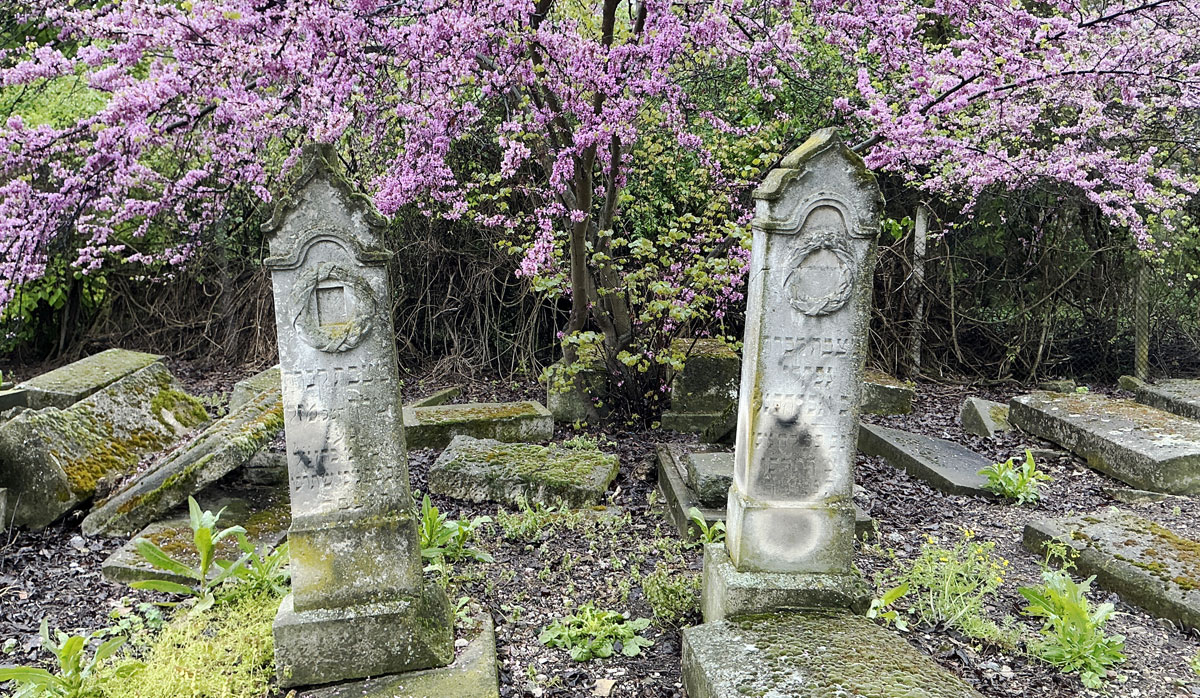 The ESJF survey of all known Jewish cemeteries in Bulgaria has now been successfully completed