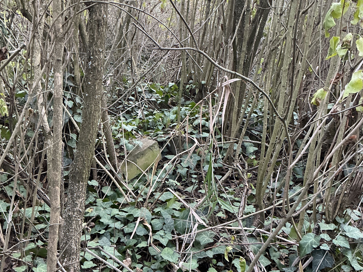 Torda-Jewish-Cemetery-4