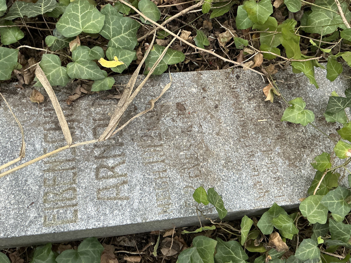Torda-Jewish-Cemetery-5