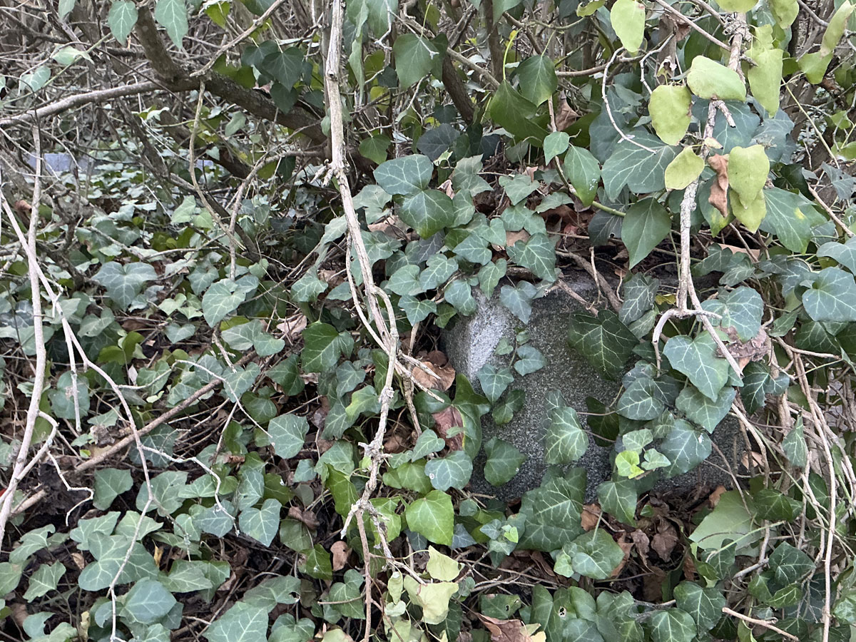 Torda-Jewish-Cemetery-6