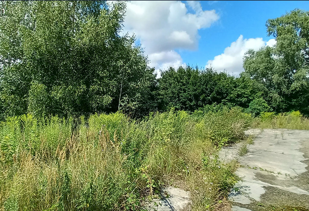 Tuchola Jewish Cemetery
