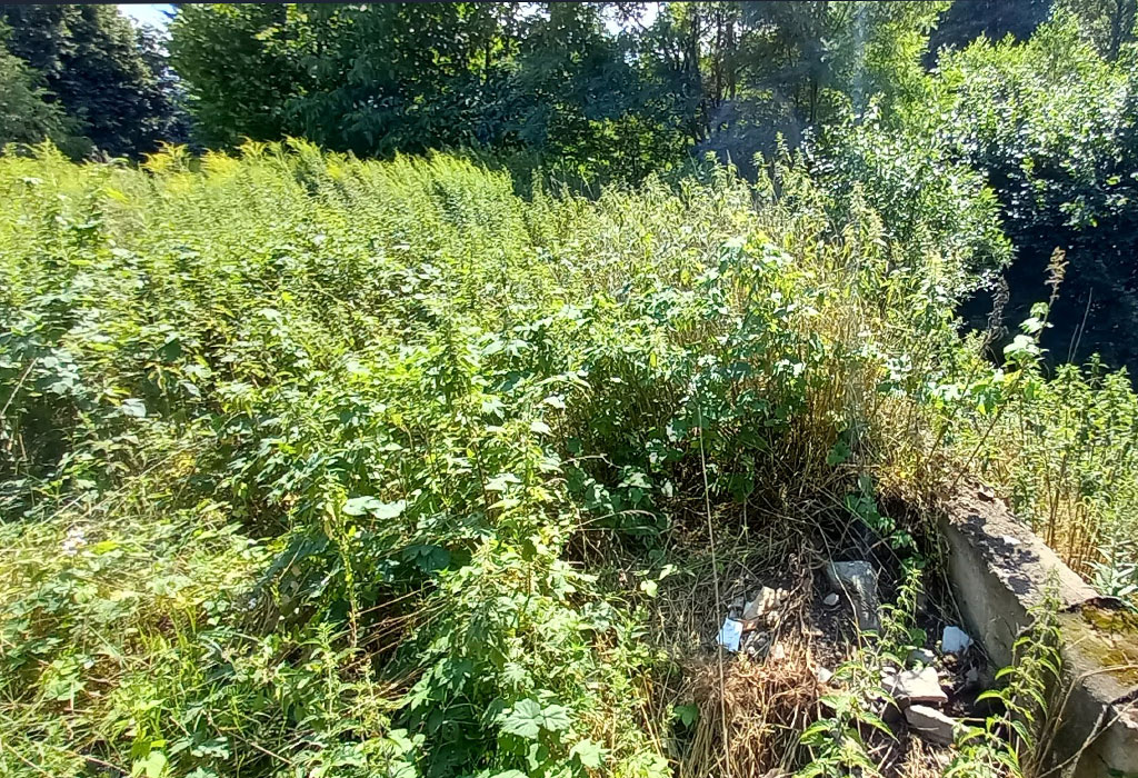 Tuchola Jewish Cemetery