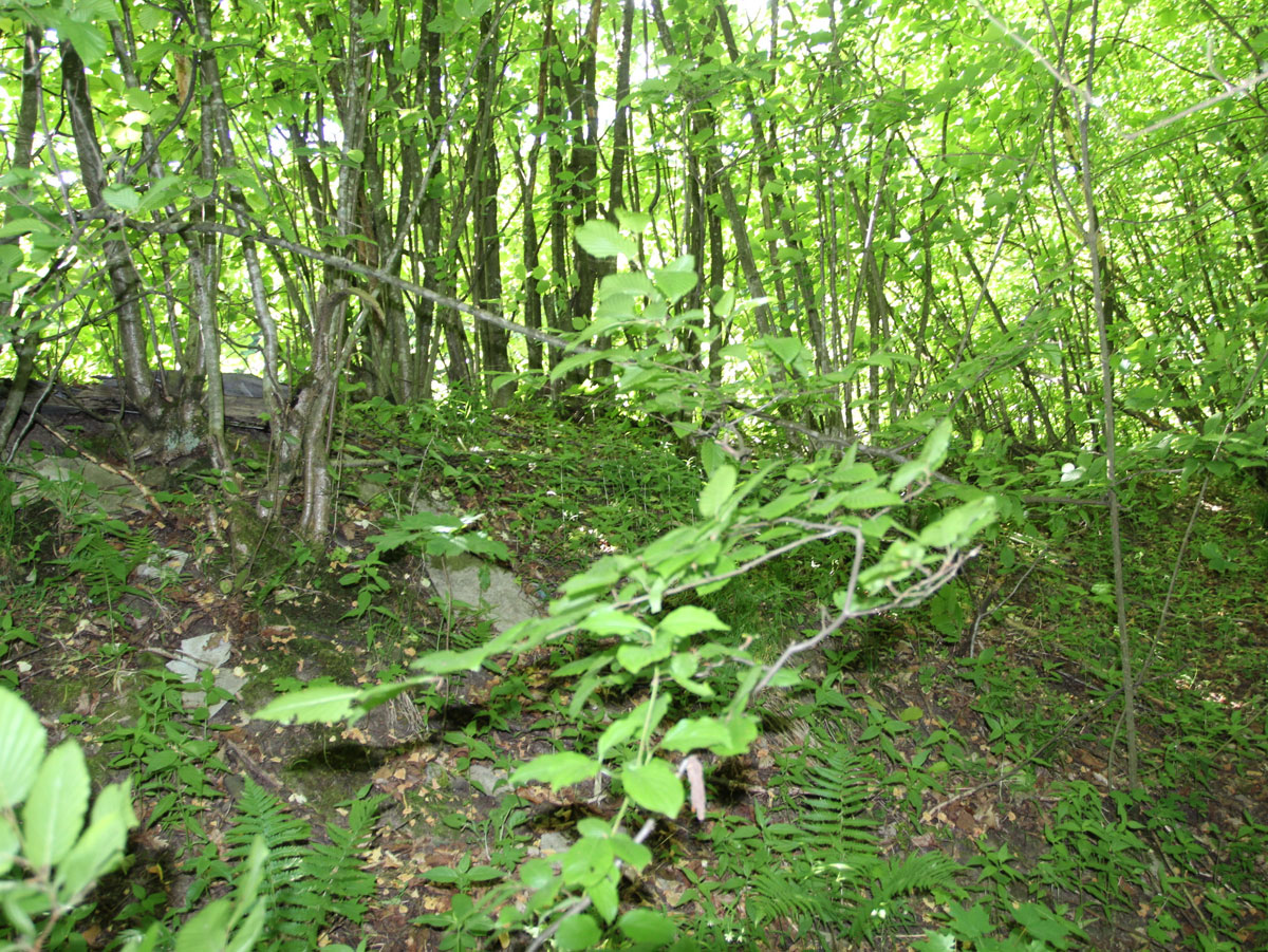 Ulicske-Krive-Jewish-Cemetery-5