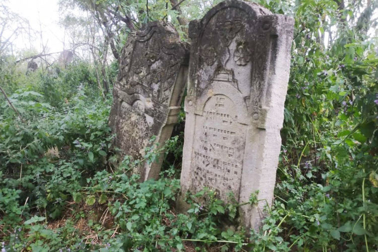 Unexpected cemetery discovery in Novoselytsia, Chernivetska oblast