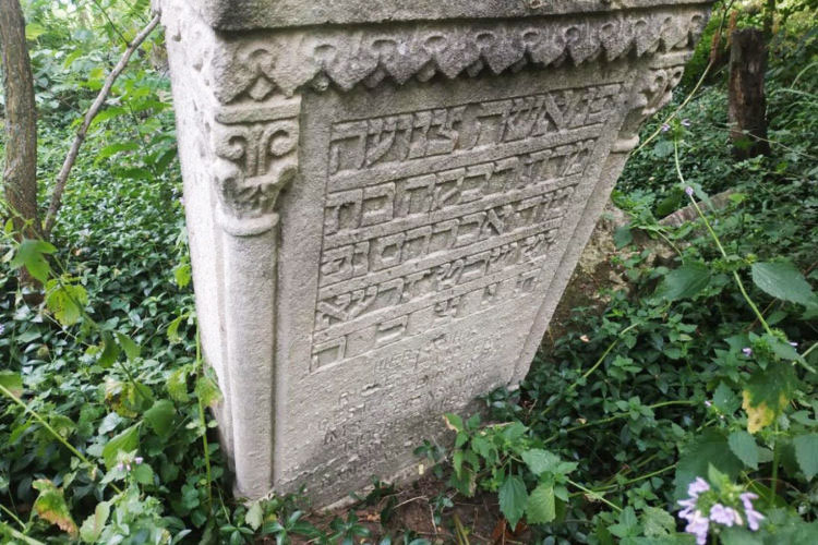 Unexpected cemetery discovery in Novoselytsia, Chernivetska oblast