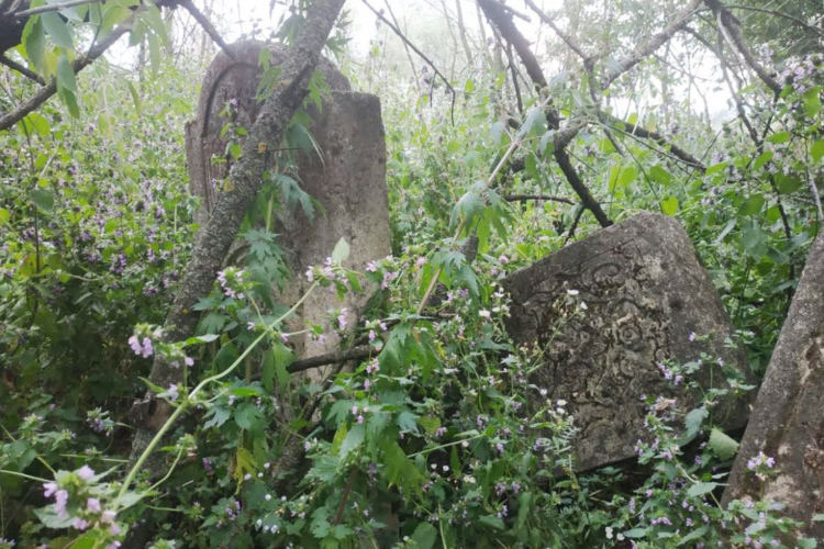 Unexpected cemetery discovery in Novoselytsia, Chernivetska oblast