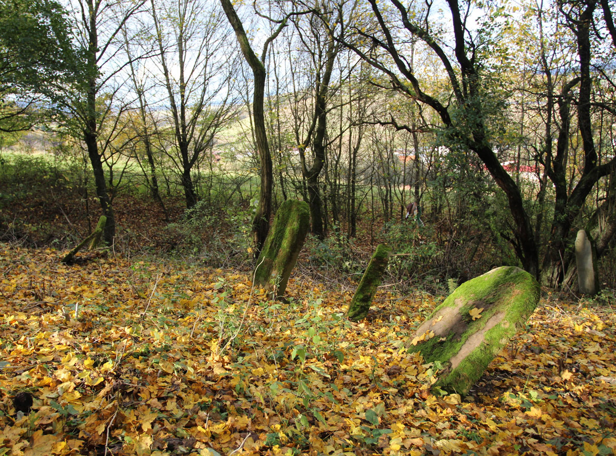 Vysne-Raslavice-Jewish-Cemetery-10
