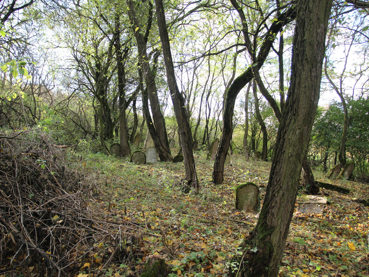 Vysne-Raslavice-Jewish-Cemetery-11