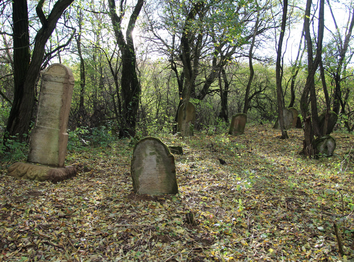 Vysne-Raslavice-Jewish-Cemetery-12
