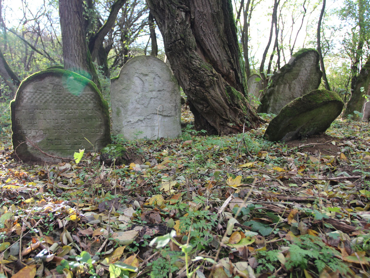 Vysne-Raslavice-Jewish-Cemetery-13